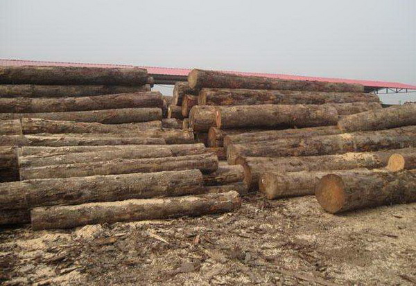 �����̴���ڱ���